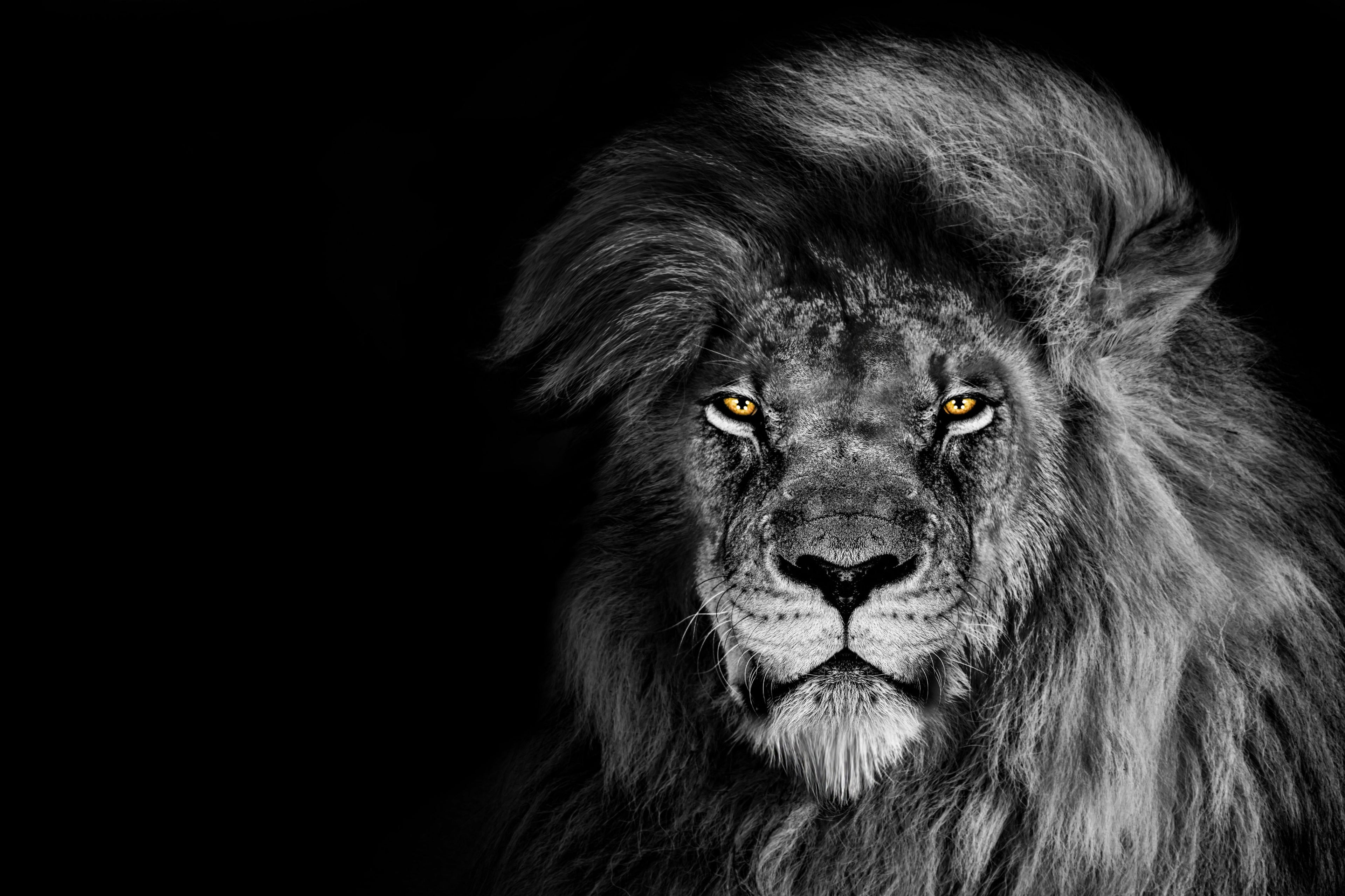 slider image 1621243260e1af0c20-0