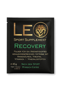 Recovery